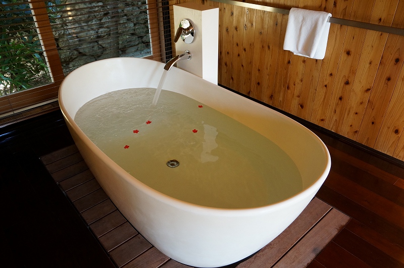 f:id:kopuccho:20200301170256j:plain