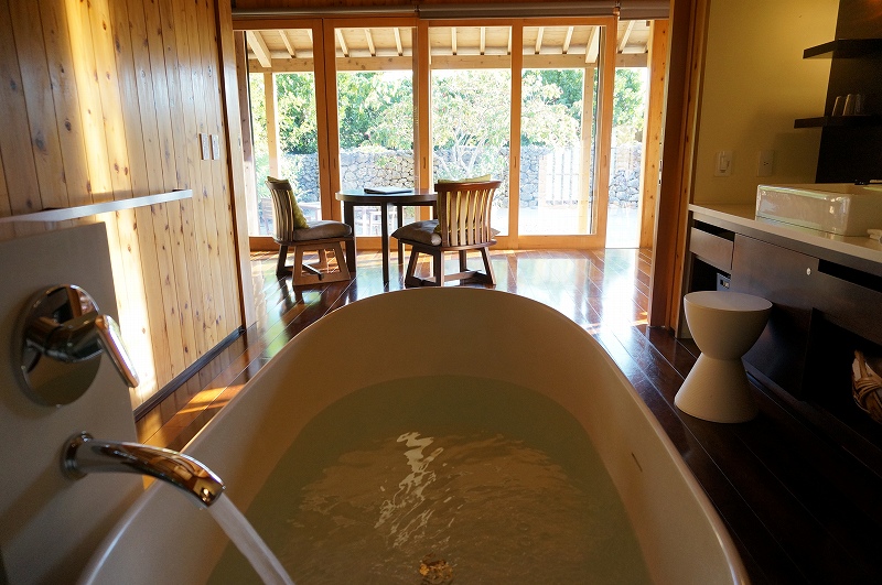 f:id:kopuccho:20200301170310j:plain