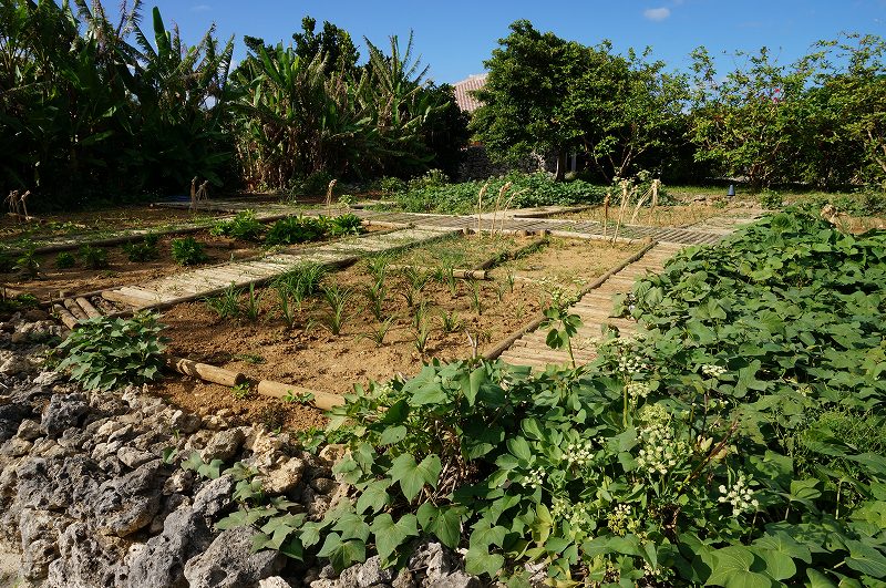 f:id:kopuccho:20200304120604j:plain