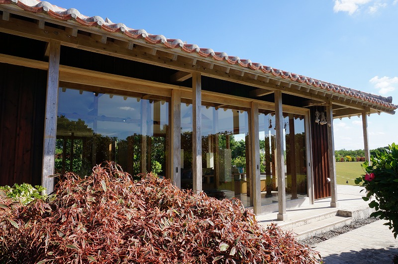 f:id:kopuccho:20200307093436j:plain