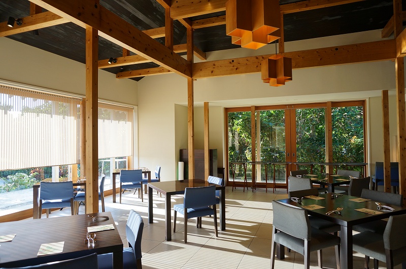 f:id:kopuccho:20200307105831j:plain