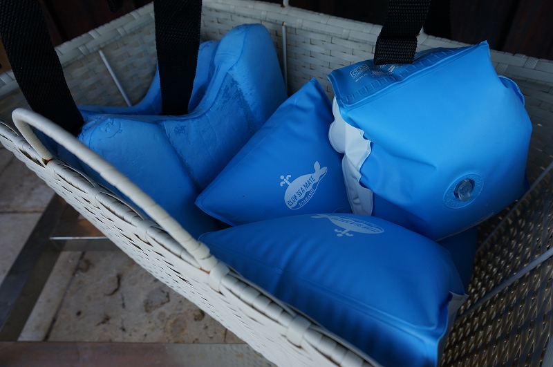 f:id:kopuccho:20200310105042j:plain