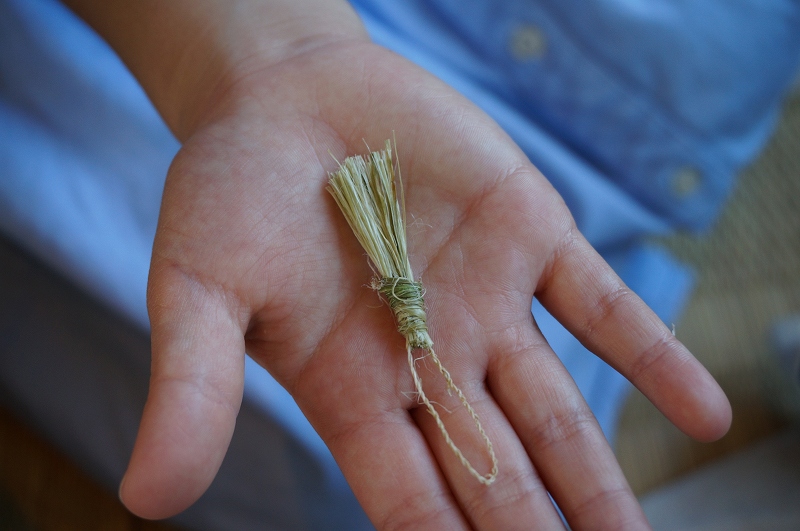 f:id:kopuccho:20200310120555j:plain