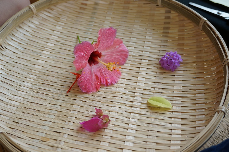 f:id:kopuccho:20200310120908j:plain