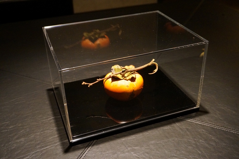 f:id:kopuccho:20200608095609j:plain