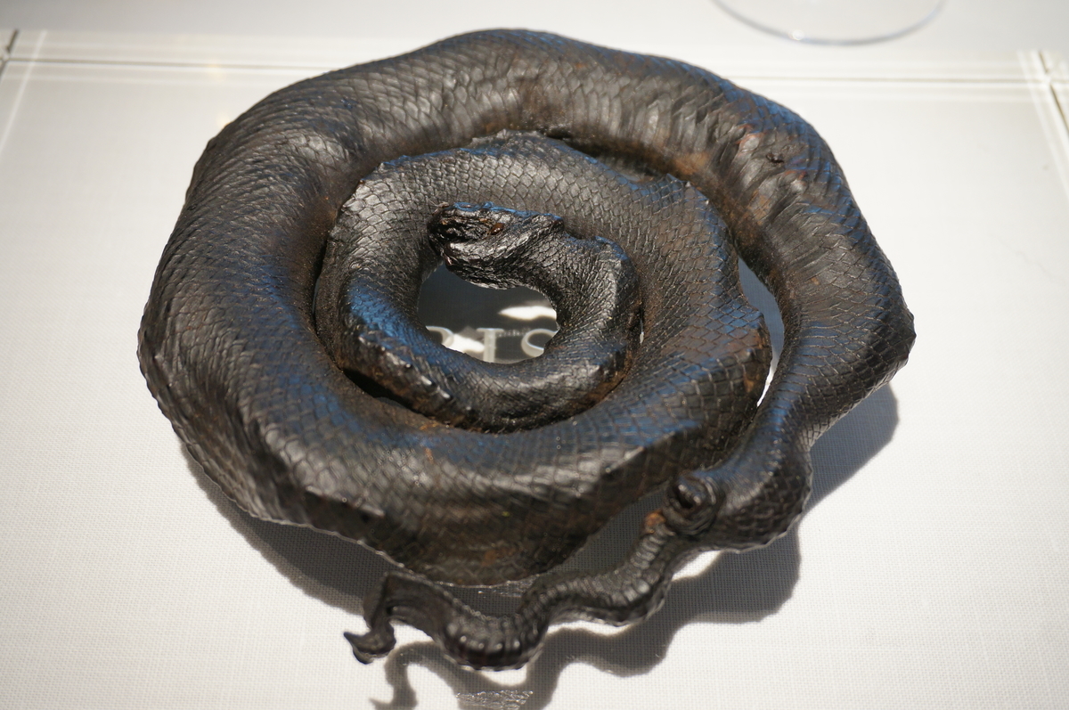 f:id:kopuccho:20211001162826j:plain