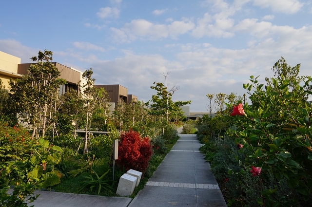 f:id:kopuccho:20220409224908j:plain