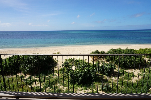 f:id:kopuccho:20220415100139j:plain