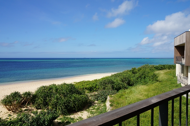 f:id:kopuccho:20220415111907j:plain