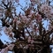 20190325153832