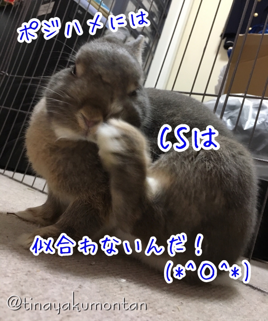 f:id:koratta:20160817203036j:plain