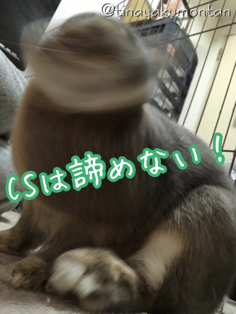 f:id:koratta:20160817203057j:plain