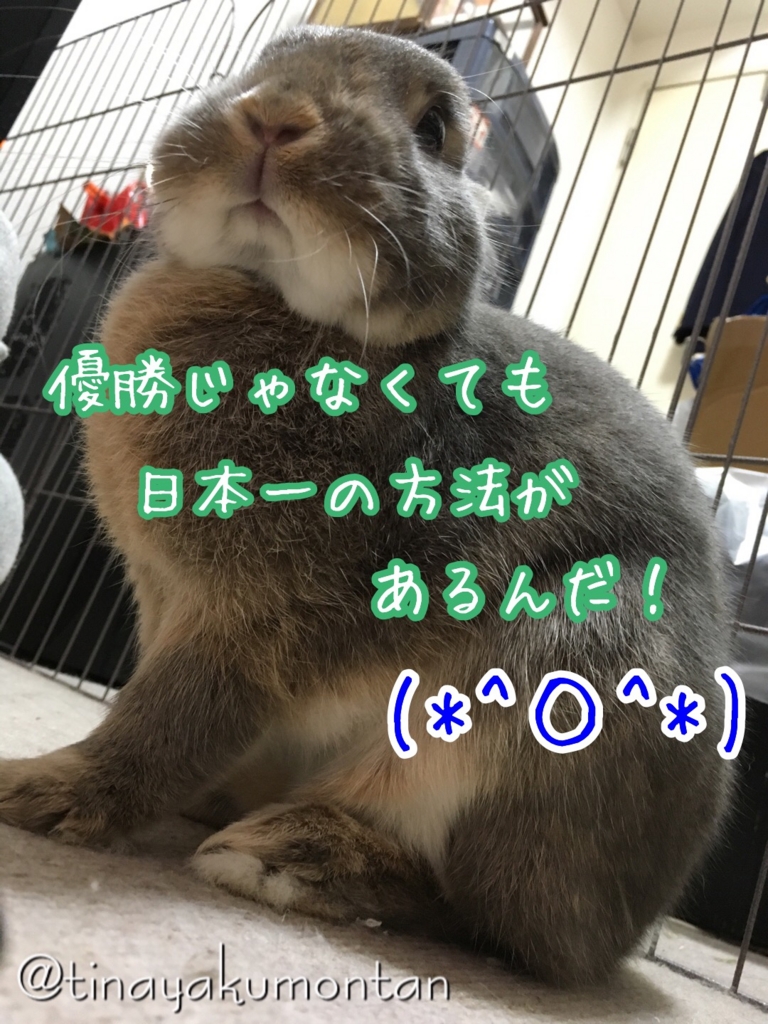 f:id:koratta:20160817203123j:plain