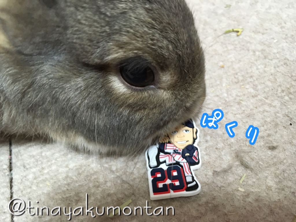 f:id:koratta:20160817203155j:plain