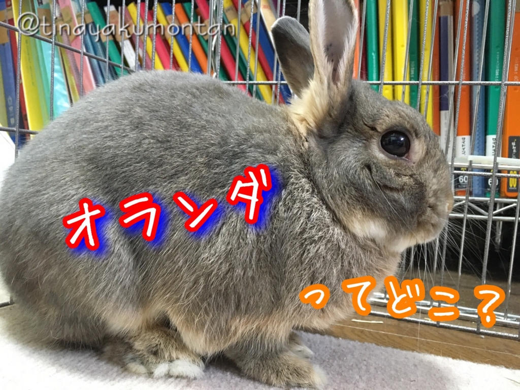 f:id:koratta:20160828174545j:plain f:id:koratta:20160828174545j:plain