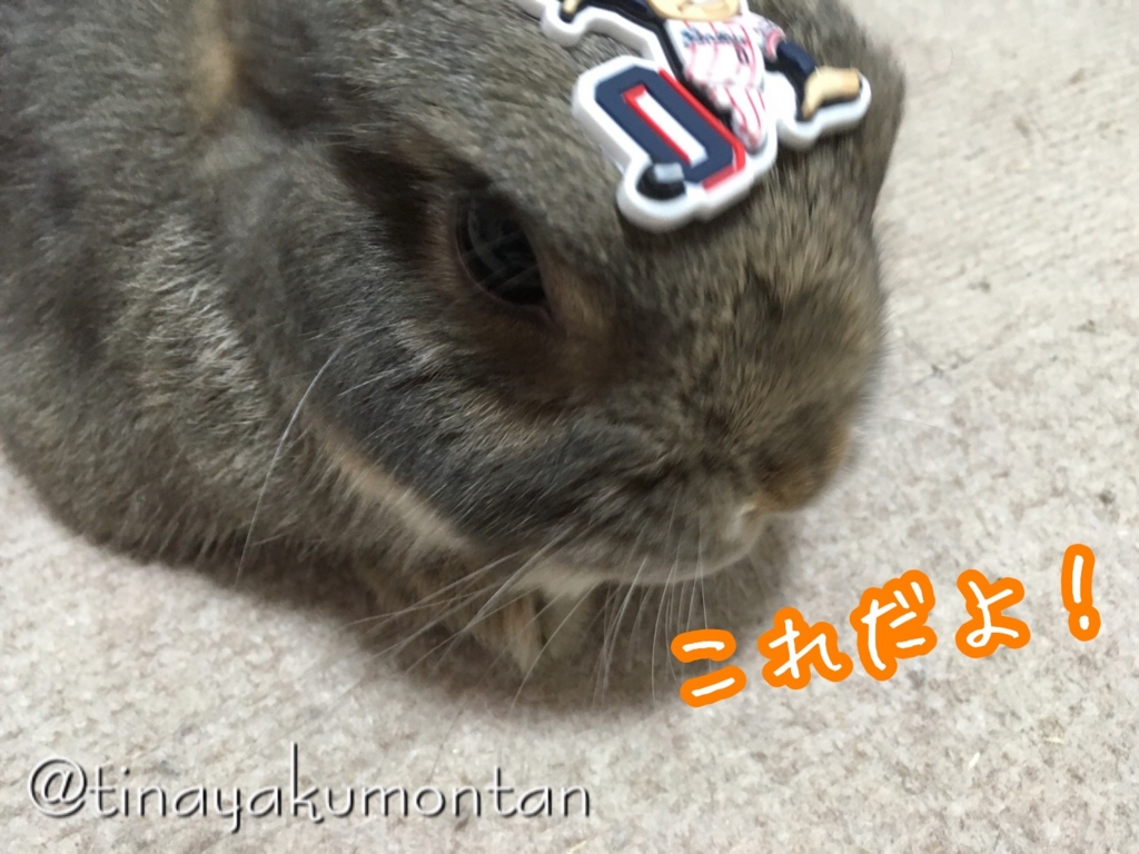 f:id:koratta:20160909174834j:plain f:id:koratta:20160909174834j:plain
