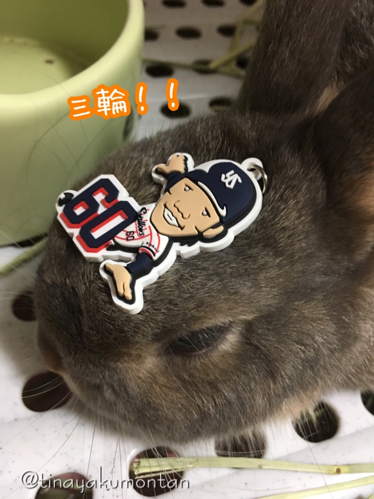 f:id:koratta:20160909175443j:plain f:id:koratta:20160909175443j:plain