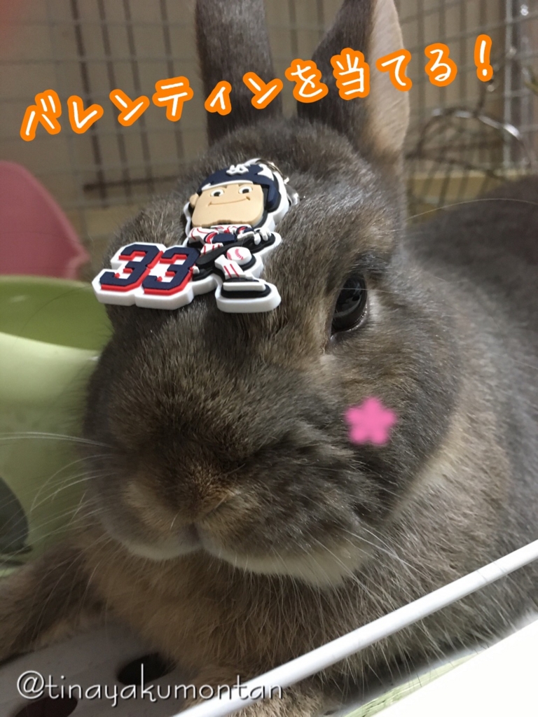 f:id:koratta:20160909175811j:plain f:id:koratta:20160909175811j:plain