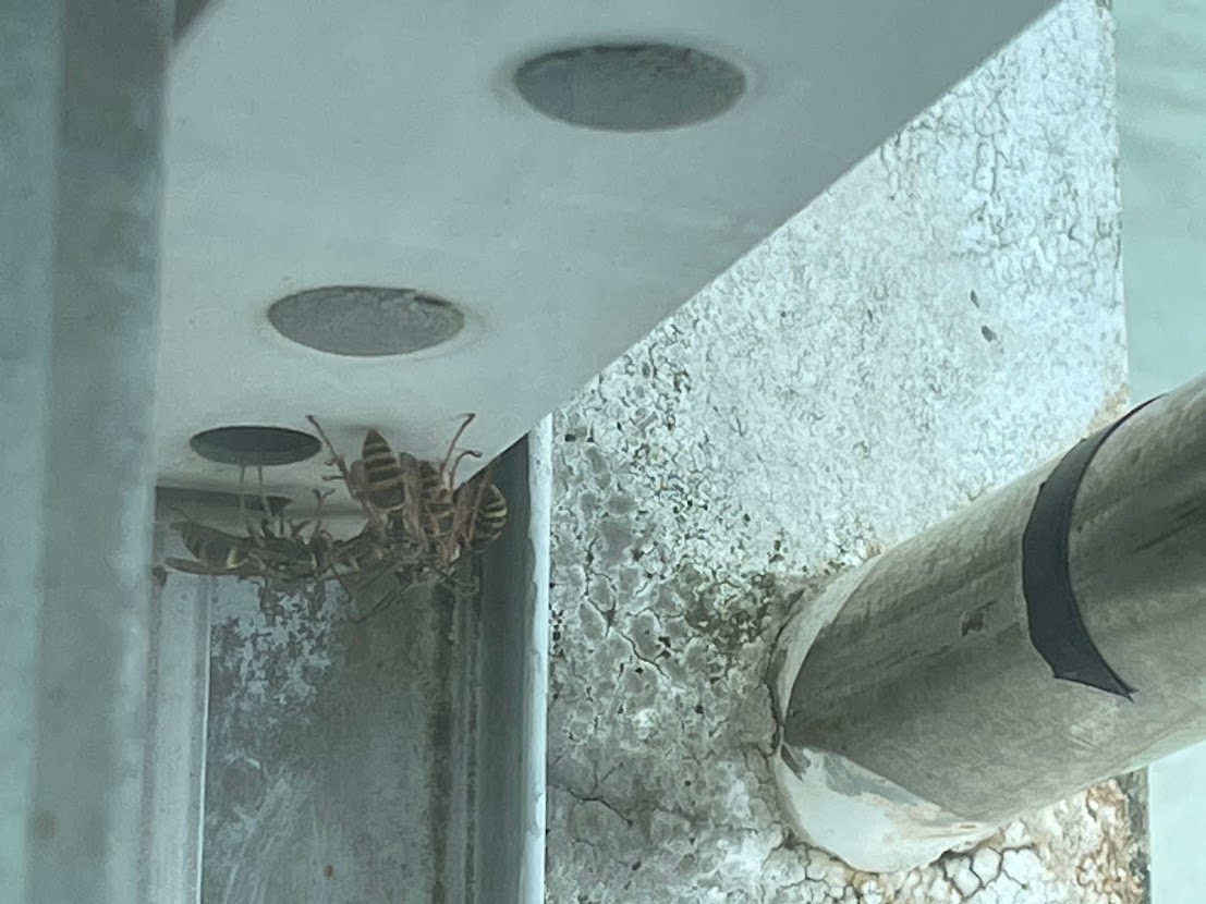 f:id:korea_busan:20210915201942j:plain