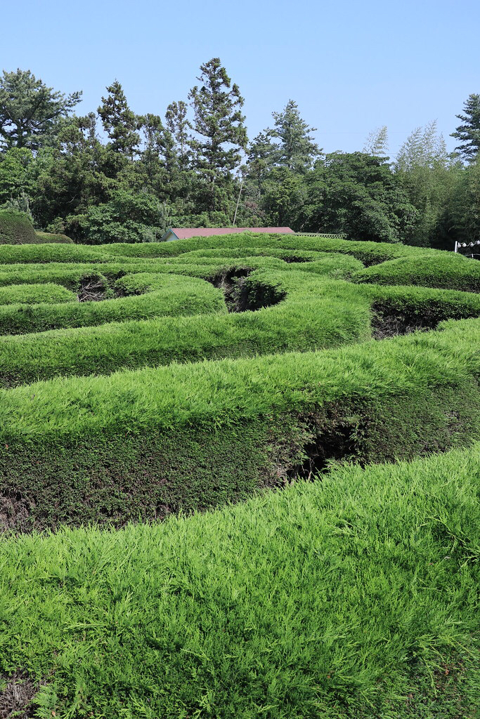 f:id:korean_law:20191103123131j:plain