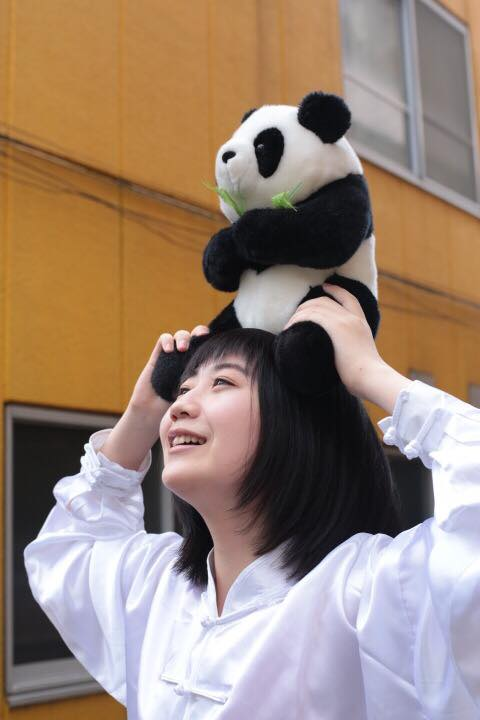 f:id:koreedazemi:20161229114430p:plain f:id:koreedazemi:20161229114430p:plain