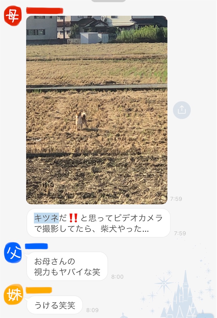 f:id:korekara-watashi:20211002000340j:image f:id:korekara-watashi:20211002000340j:image