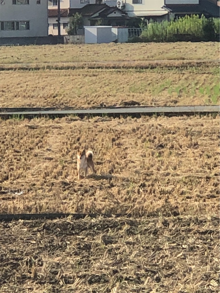 f:id:korekara-watashi:20211002000534j:image f:id:korekara-watashi:20211002000534j:image