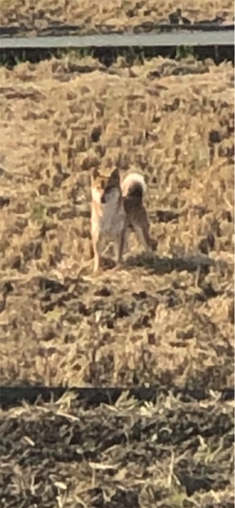 f:id:korekara-watashi:20211002000555p:image f:id:korekara-watashi:20211002000555p:image