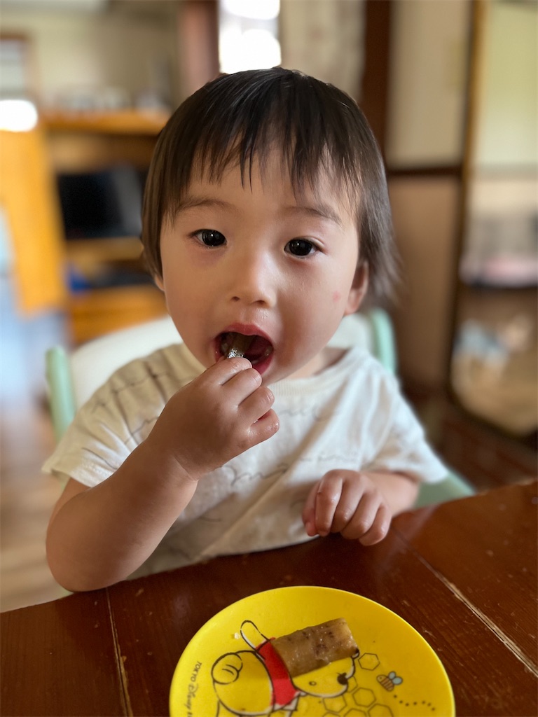f:id:korekara-watashi:20240607101644j:image