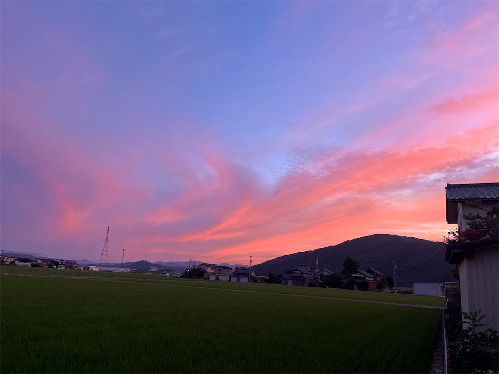 f:id:korekara-watashi:20240627081745j:image