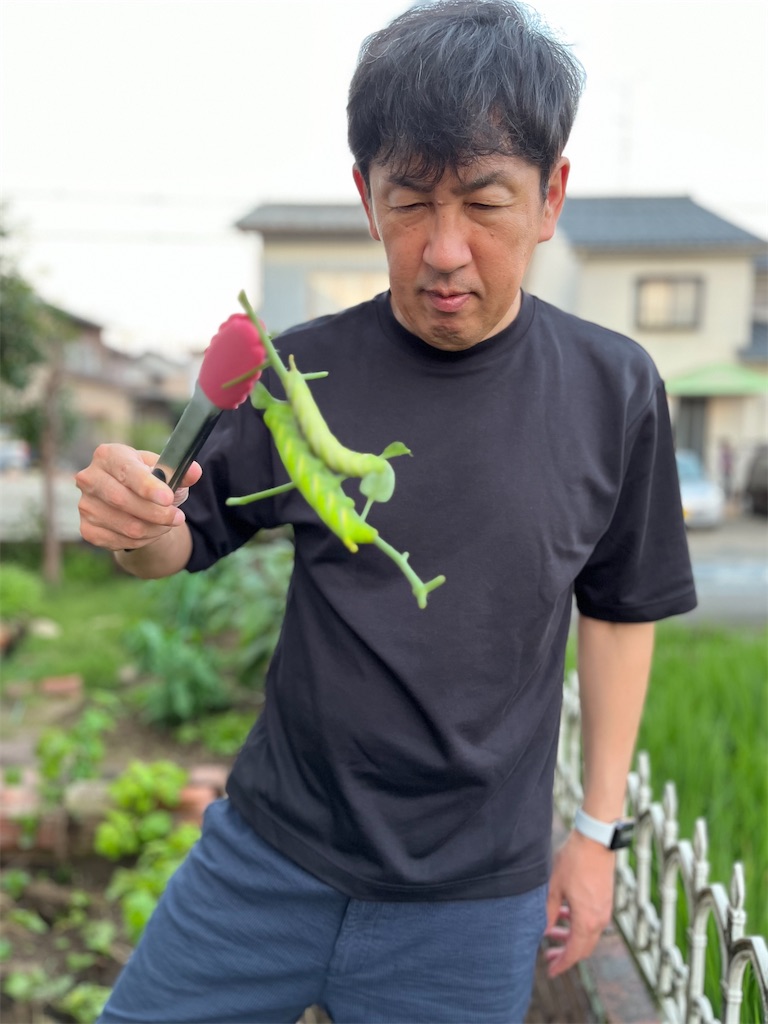 f:id:korekara-watashi:20240722180426j:image