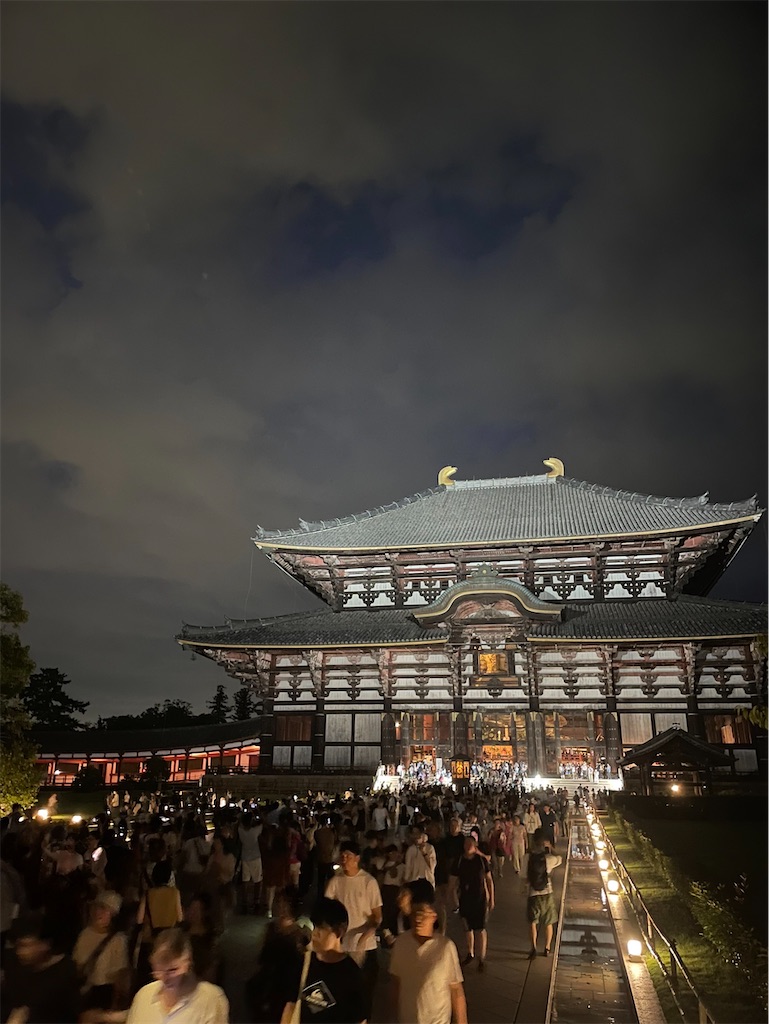 f:id:korekara-watashi:20240819085433j:image
