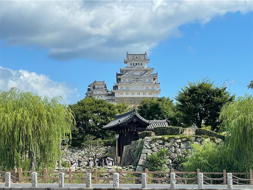 f:id:korekara-watashi:20240819085441j:image