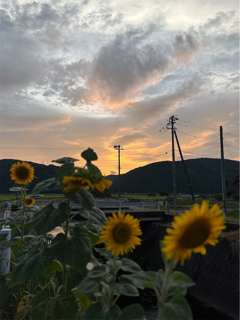 f:id:korekara-watashi:20240826085543j:image