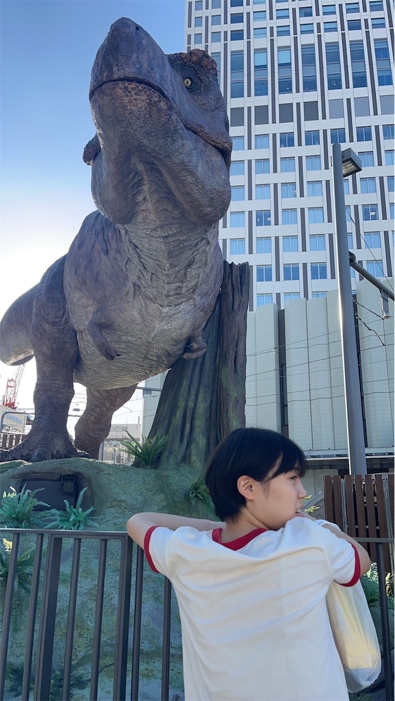 f:id:korekara-watashi:20240919092233j:image