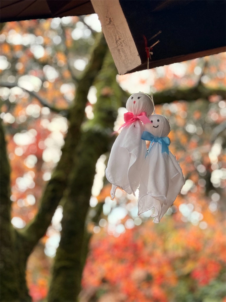 f:id:korekara-watashi:20241206094627j:image