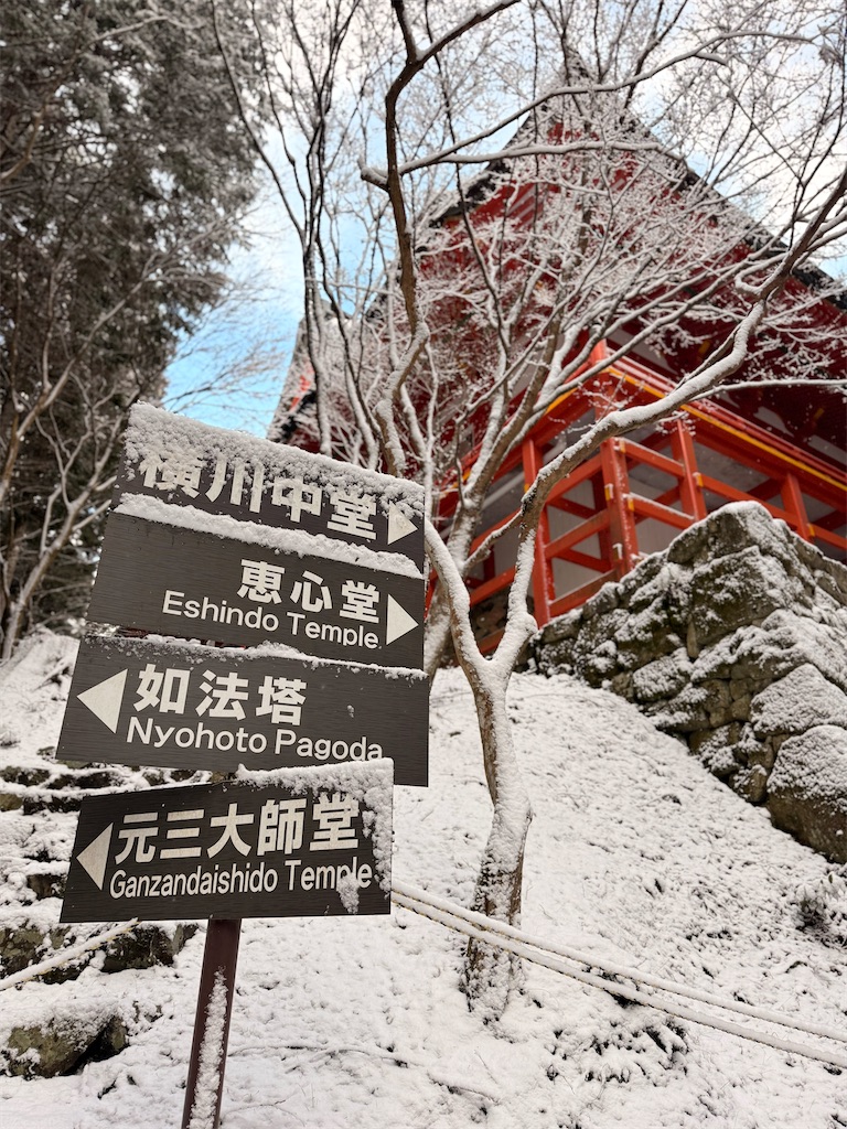 f:id:korekara-watashi:20241221114542j:image