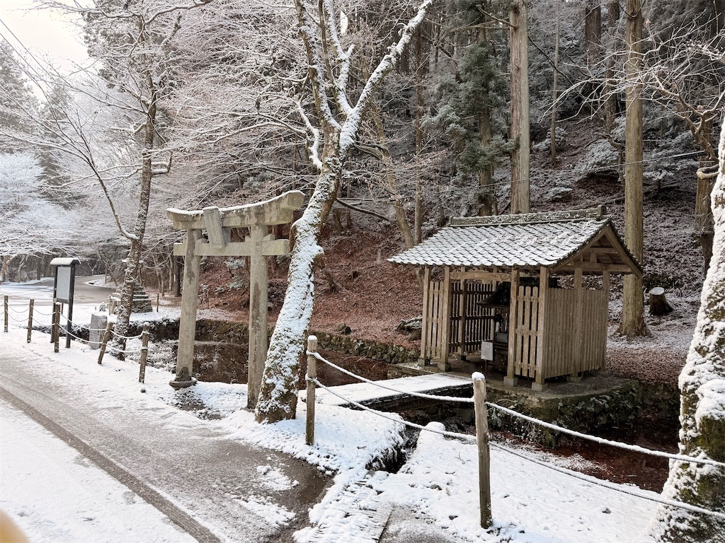 f:id:korekara-watashi:20241221114604j:image