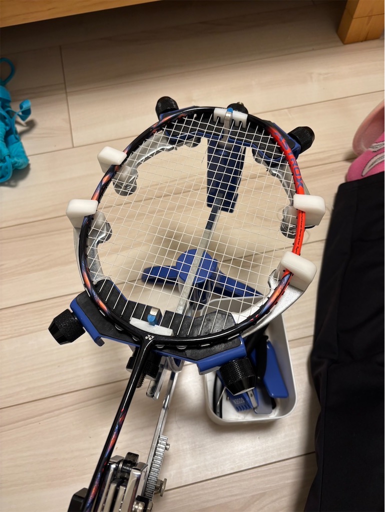f:id:korekara-watashi:20250306080948j:image