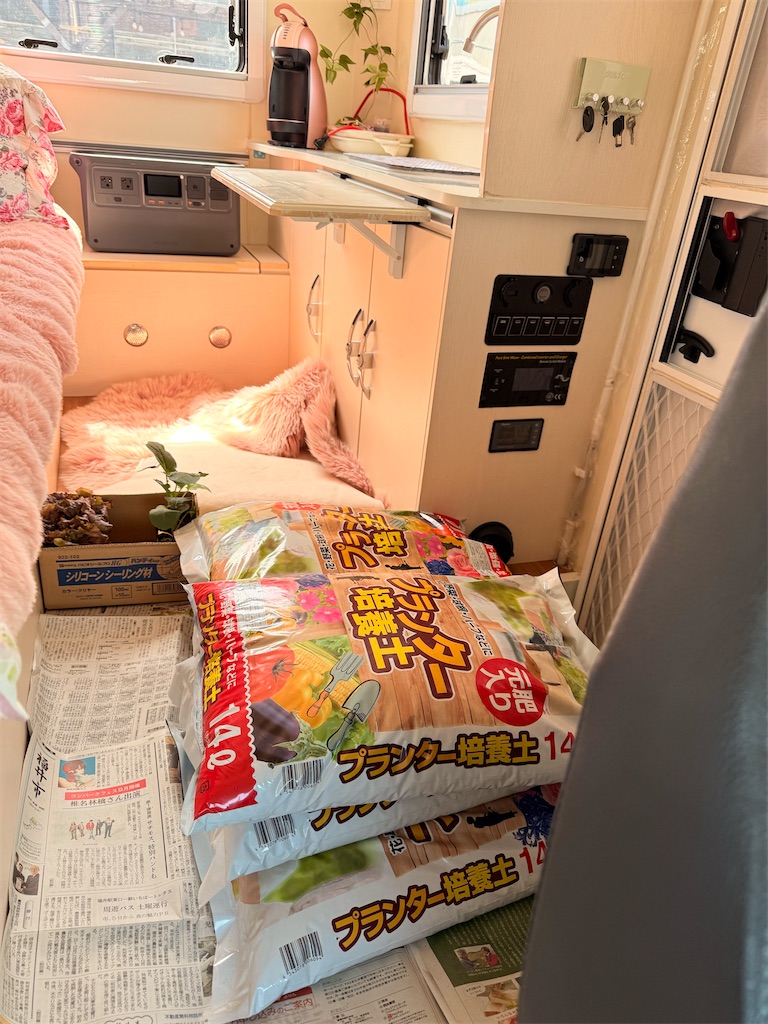 f:id:korekara-watashi:20250405103725j:image