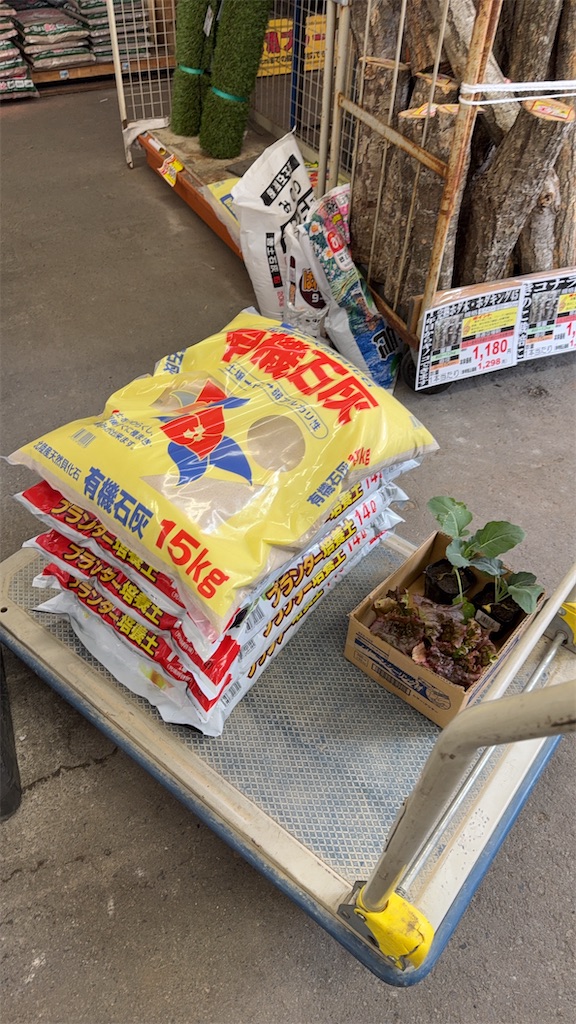 f:id:korekara-watashi:20250405103903j:image