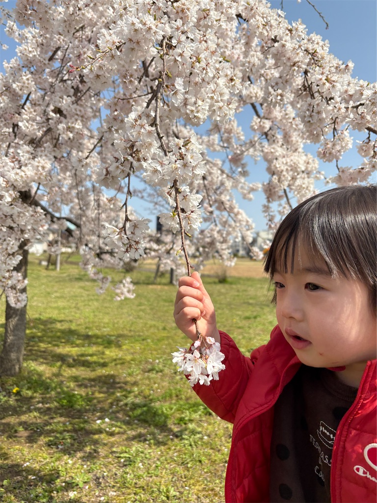 f:id:korekara-watashi:20250407080337j:image