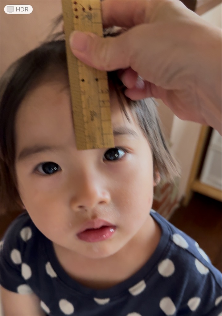 f:id:korekara-watashi:20250528072052j:image