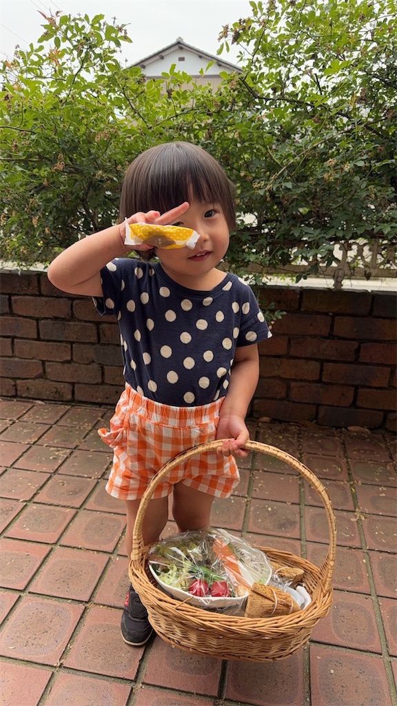 f:id:korekara-watashi:20250528073746j:image