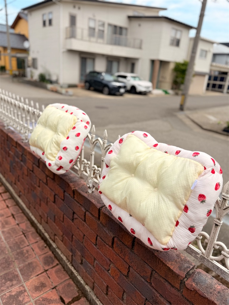 f:id:korekara-watashi:20250613105435j:image