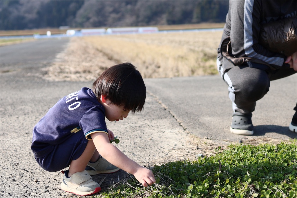 f:id:korekara-watashi:20260119093132j:image