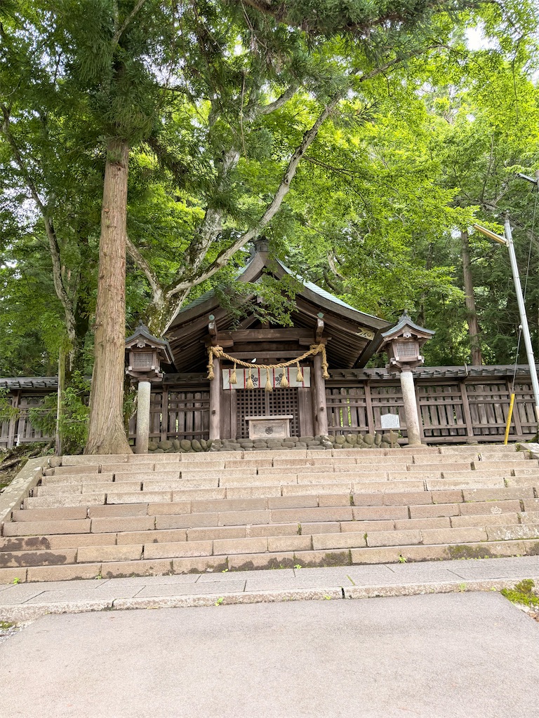 f:id:korekara-watashi:20260706062353j:image f:id:korekara-watashi:20260706062353j:image