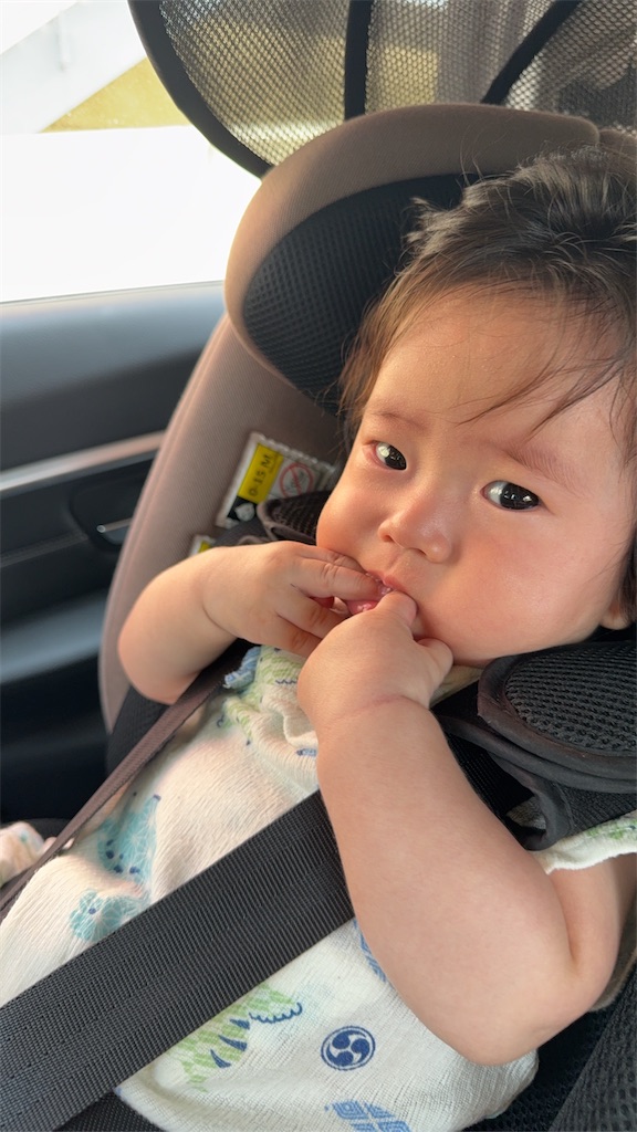 f:id:korekara-watashi:20260706062841j:image f:id:korekara-watashi:20260706062841j:image