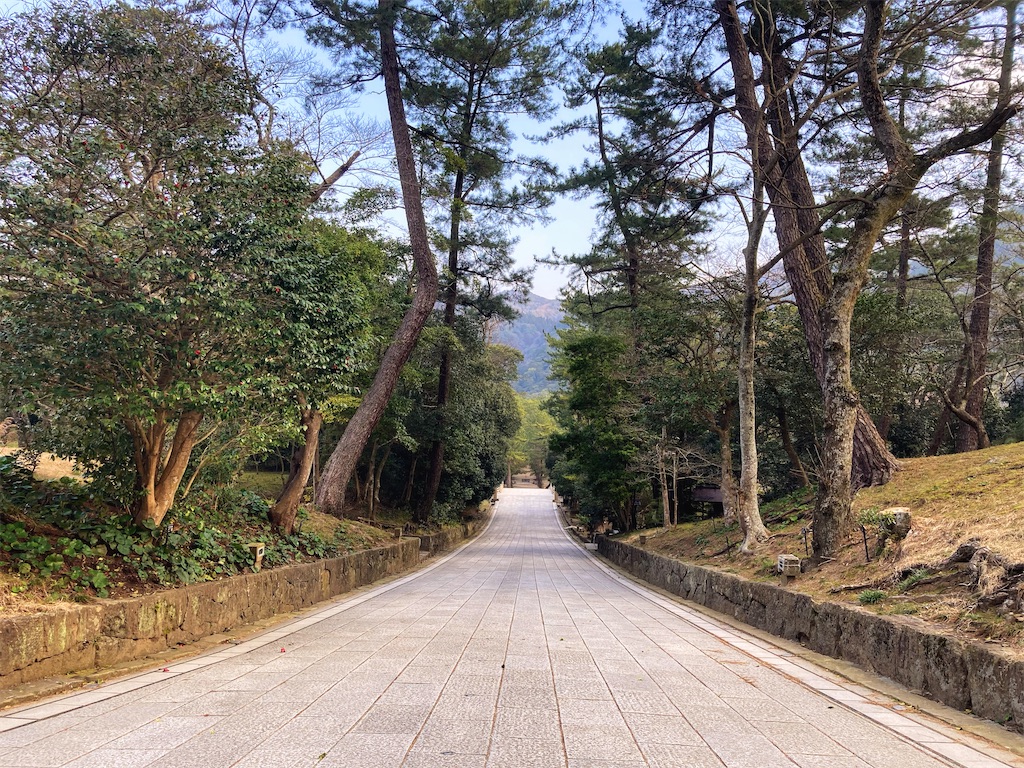 f:id:korekaranohanashi:20240308175419j:image f:id:korekaranohanashi:20240308175419j:image