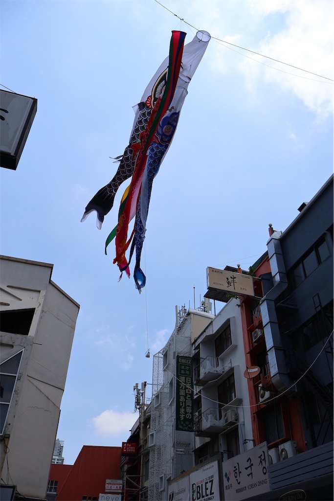 f:id:korekaranohanashi:20240607224145j:image f:id:korekaranohanashi:20240607224145j:image